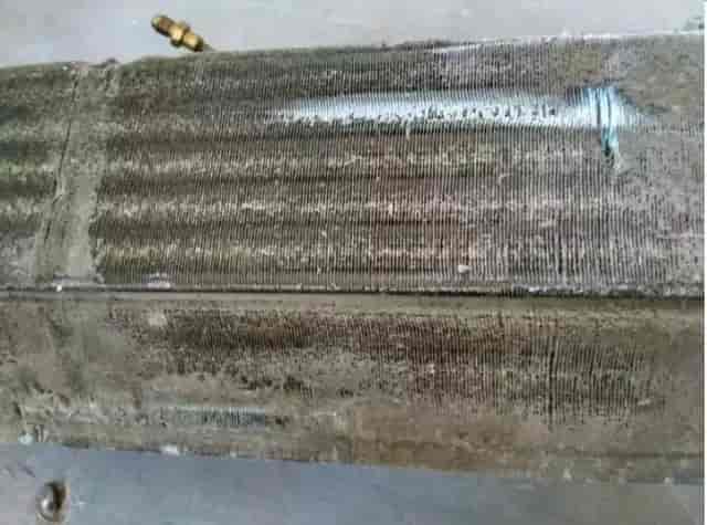 亚洲第一狼人伊人av